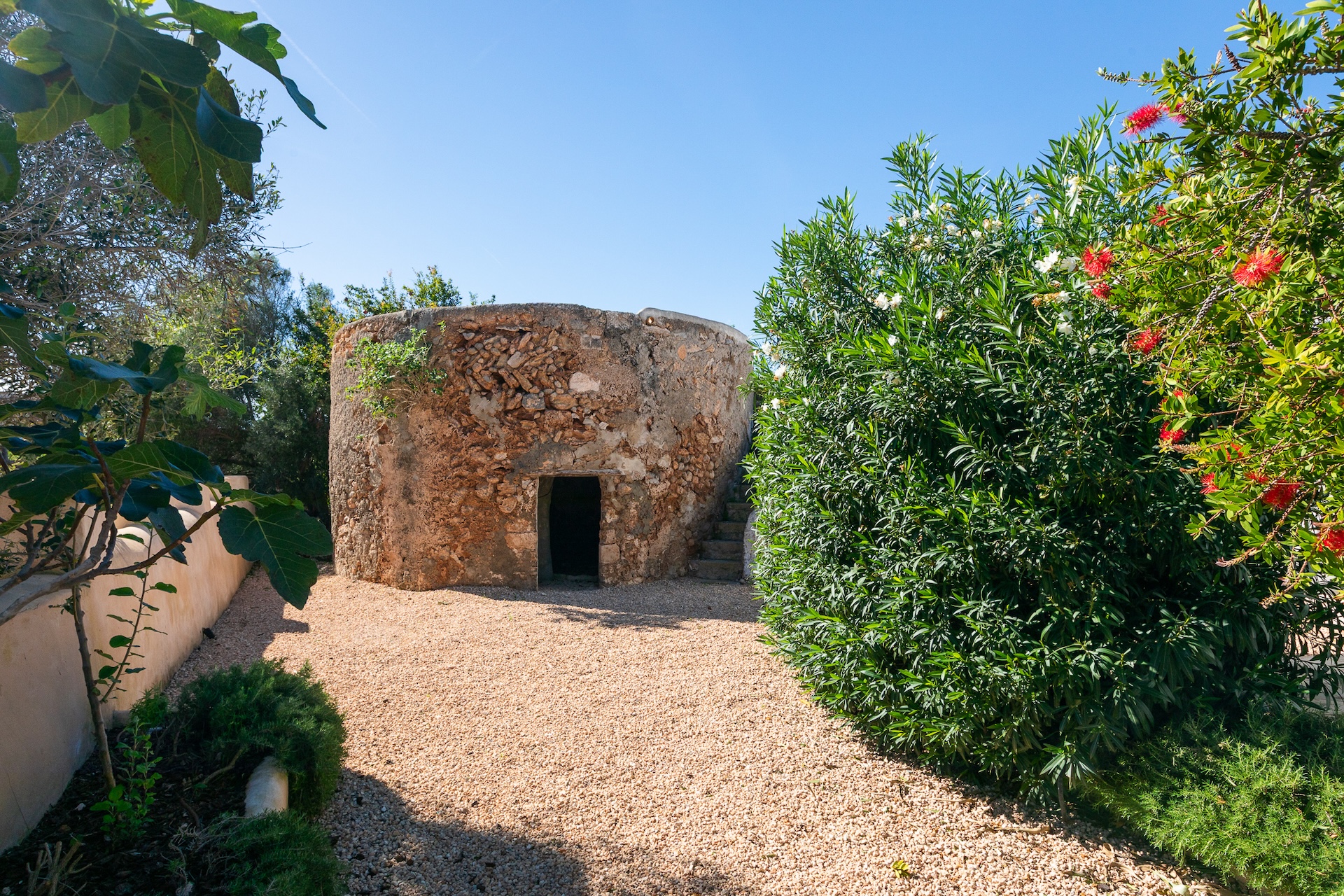 Resa Estates finca sale koop ibiza Jorge exterior garden.jpg